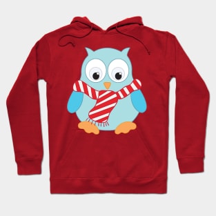 Cute Blue Owl Hoodie